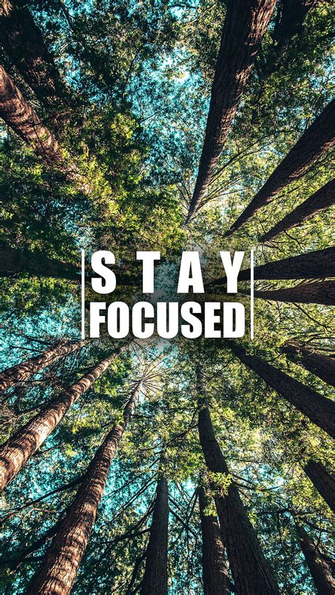 20+ Stay Focused Wallpaper - IsabelReive