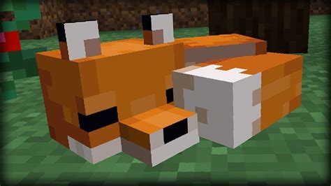 How to Tame a Fox in Minecraft