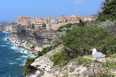 Bonifacio, Corsica - citadel, harbour and old town