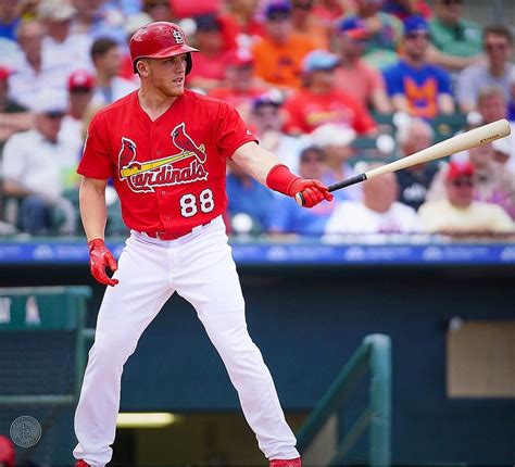 Harrison Bader | St louis baseball, Stl cardinals baseball, St louis cardinals