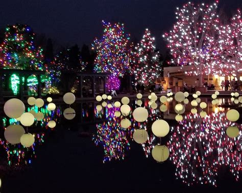 Winter Lights Festival at Botanical Gardens - Fun In Jerusalem