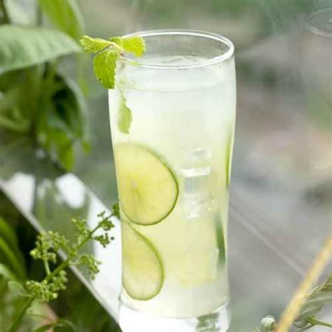 Top 10 Lime Juice Recipes - Zesty, Refreshing Summer Beverages