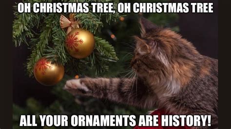 20+ Most Hilarious Cat Christmas Tree Memes of All Time 2023