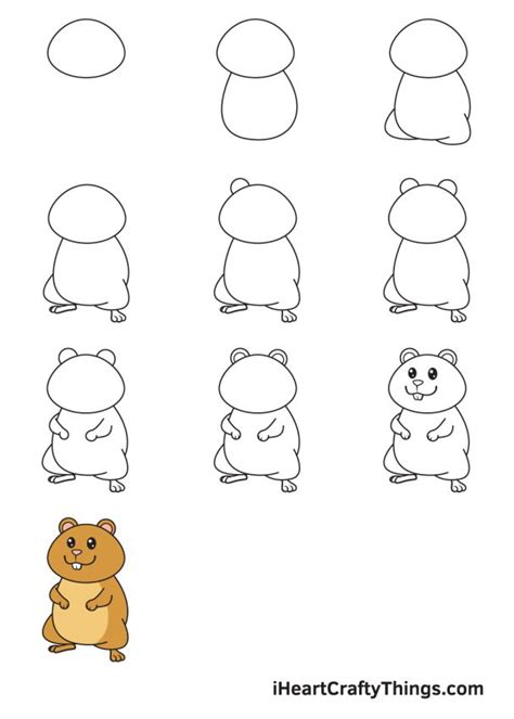 Hamster Drawing - How To Draw A Hamster Step By Step