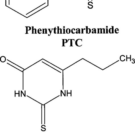 (PDF) The genetics of phenylthiocarbamide perception