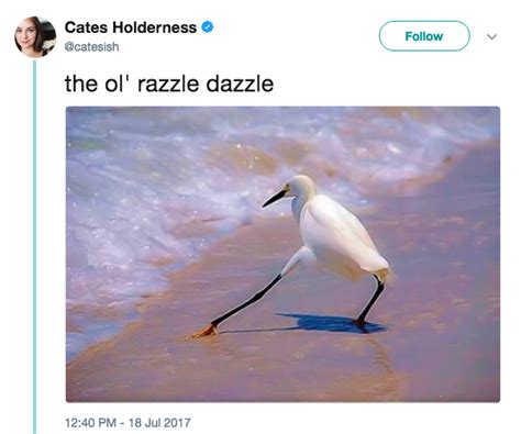 Ol' Razzle Dazzle | The Razzle Dazzle Bird | Know Your Meme