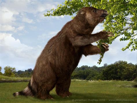 An ancient ancestor of the sloth, called Megatherium was the size of an ...