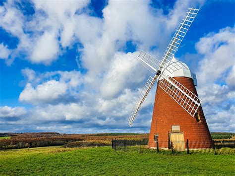 Halnaker Windmill Trail – Discover the Fairytale Halnaker Tree Tunnel ...