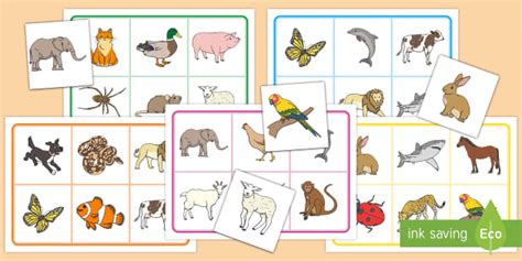 Animal Bingo and Lotto Game | Printable | Teacher-made