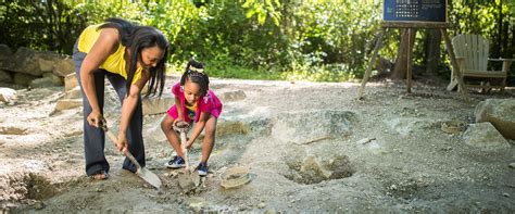 Dinosaur Trail - Museum of Life and Science