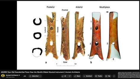 60k year old Neanderthal Flute, oldest known - soundQuality org