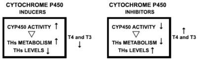 A diagram showing the effects of CYP450 inducers or inhibitors on TH... | Download Scientific ...