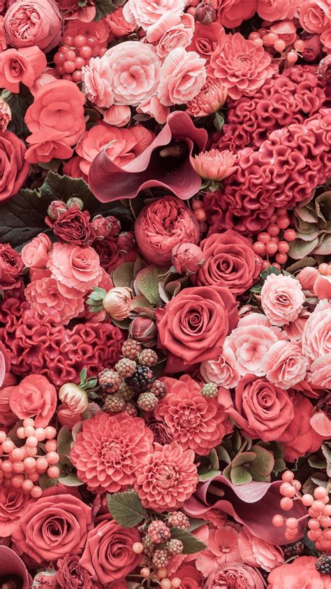 「Wallpapers Flowers」おしゃれまとめの人気アイデア｜Pinterest｜Daria Russ | 薔薇 壁紙, バラの壁紙, バラ