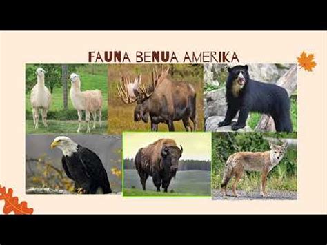 Flora dan Fauna di Benua Asia dan Benua Lainnya - YouTube