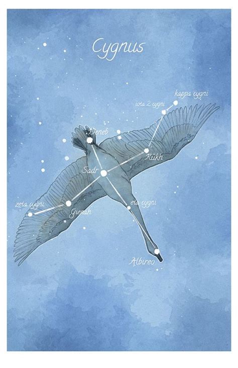 Pin by ShelleRae O'Connor on [ZODIAC] | Astronomy art, Astronomy constellations, Cygnus ...