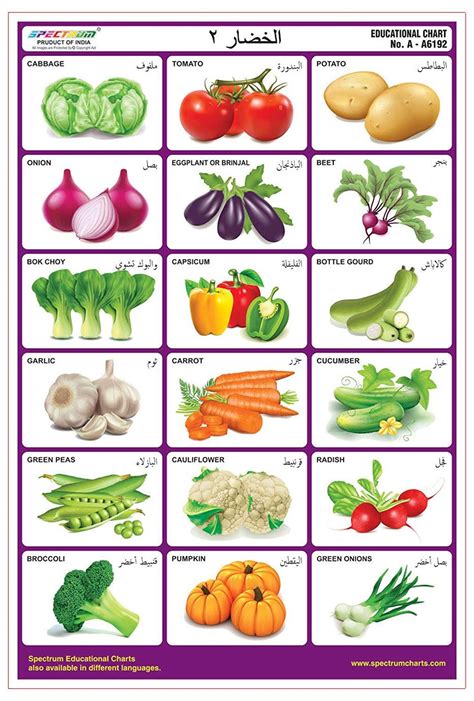 Vegetable Names: Learn Different Types Of Vegetables With Pictures 7DA ...