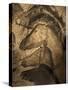 'Stone-age Cave Paintings, Chauvet, France' Photographic Print - Javier Trueba | AllPosters.com