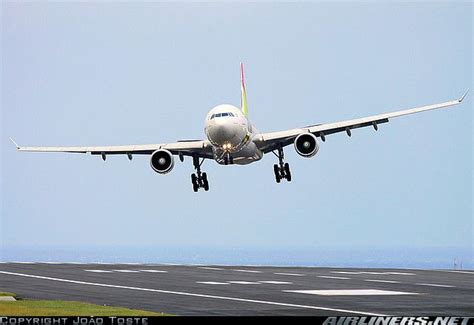 Airbus A330-223 Crosswind landing... | Airbus, Aircraft, Aircraft pictures