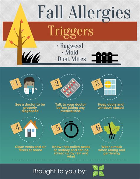 Fall Allergies: Common Causes and What You Can Do - Pharmacists.org