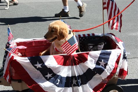 Downtown Bend annual 4th of July pet parade | Bike parade, Pet parade, Christmas parade floats