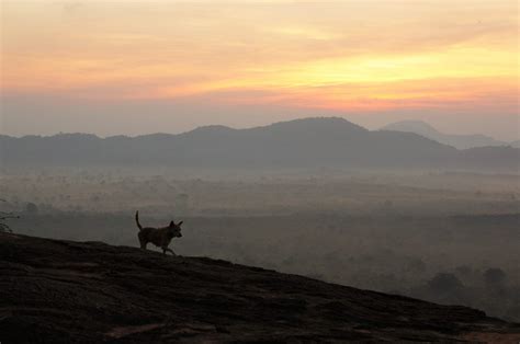 Sunrise From Pidurangala Rock, Sri Lanka's Most Beautiful Viewpoint ...