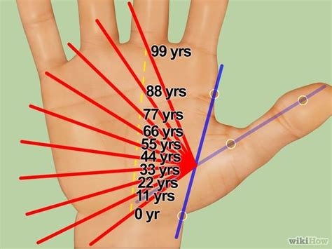 Learn How to Read Your Hand Lines Palmistry | INDIAN PALM READING ...