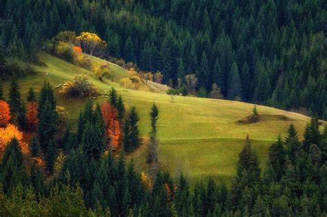 *🇧🇬 Green meadow (Bulgaria) by Bogdan Stoyko 🌲🌾 Bulgaria, Agriculture, Meadow, Rural, Farmland ...