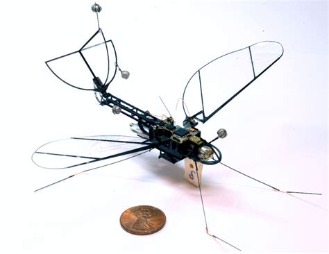 Harvard Launches Robot Moth