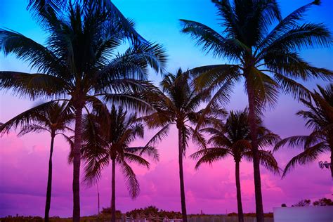 Miami Beach South Beach sunset palm trees Florida | SFRPC