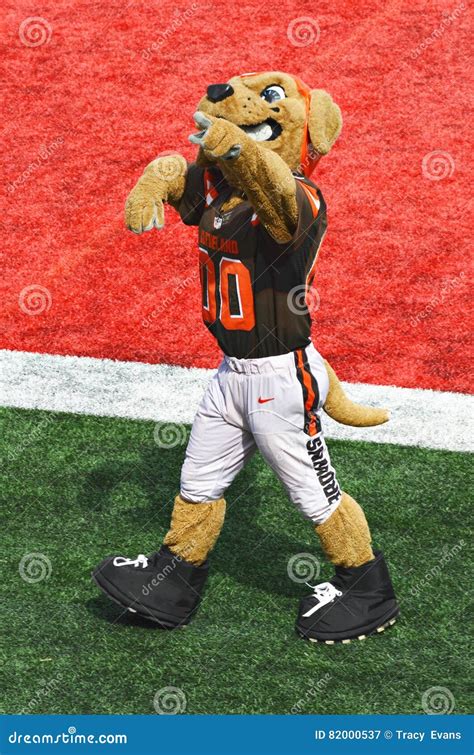 Cleveland Browns NFL Mascot Chomps Editorial Photography - Image of ...