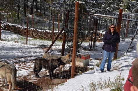 Colorado Discoveries 16: Colorado Wolf and Wildlife Center – Ground ...