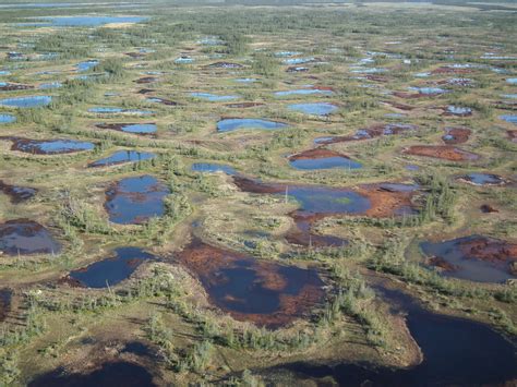 Peatlands: Vital for Carbon Storage and Stewardship — CRP Website