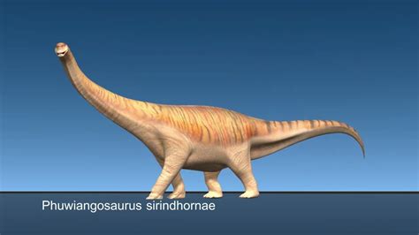 Phuwiangosaurus sirindhornae - YouTube