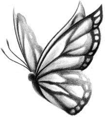 Pin by yasemin temel on \u00E7izim \u00F6rnekleri | Butterfly sketch, Butterfly drawing ...