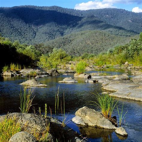 Snowy River by Ern Mainka | Australia landscape, Travel destinations australia, Australian travel