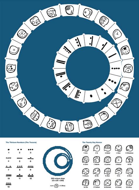 Tzolkin Maya Calendar Digital Art by Peter Hermes Furian