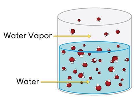 Salt Water Solution (animation) - Annenberg Learner