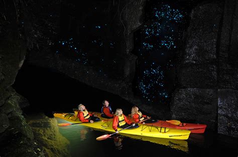 The 10 Most Extraordinary Glow Worm Caves In The World