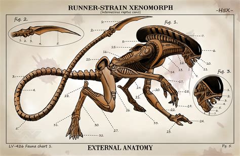 Xenomorph dog by RoninH5X on DeviantArt