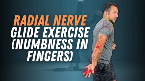 Radial Nerve Glide Exercise (Numbness in Fingers) - YouTube