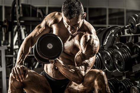 Muscular Hypertrophy Explained - FitnessLife Kings Magazine