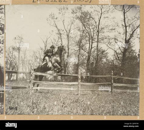 Theodore Roosevelt on horseback jumping over a split rail fence Stock Photo - Alamy