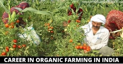 Career in Organic Farming in India | Thinksknowledge