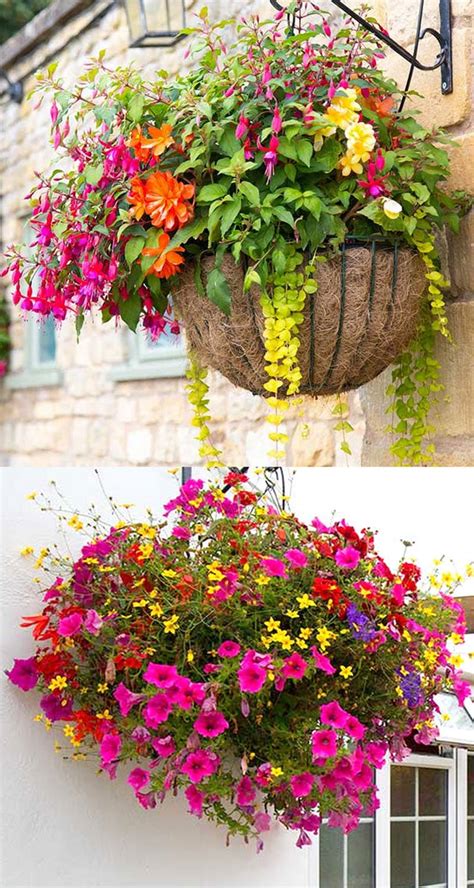 How to Plant Beautiful Flower Hanging Baskets ( & 20+ Best Hanging ...