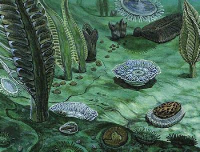 End-Ediacaran Extinction