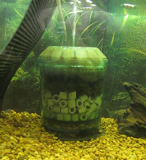 What Happened to the Box/Corner Filter for Fish Tanks? - PetHelpful