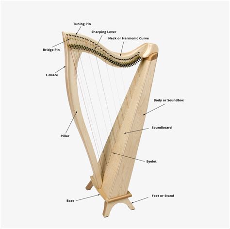 Harp Clipart Psalterion - Musical Instrument Transparent PNG - 540x762 ...