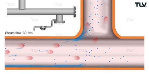 Separators and their Role in the Steam System | TLV