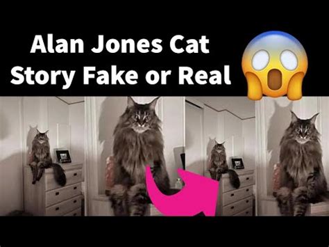 Alan Jones Cat Real or Fake | Alan Jones Cat Story Real | Alan Jones Cat Story Explained - YouTube