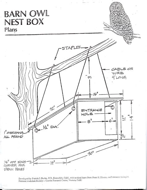 DIY barn owl nesting box plans, pg 1 | Owl nest box, Nesting boxes ...